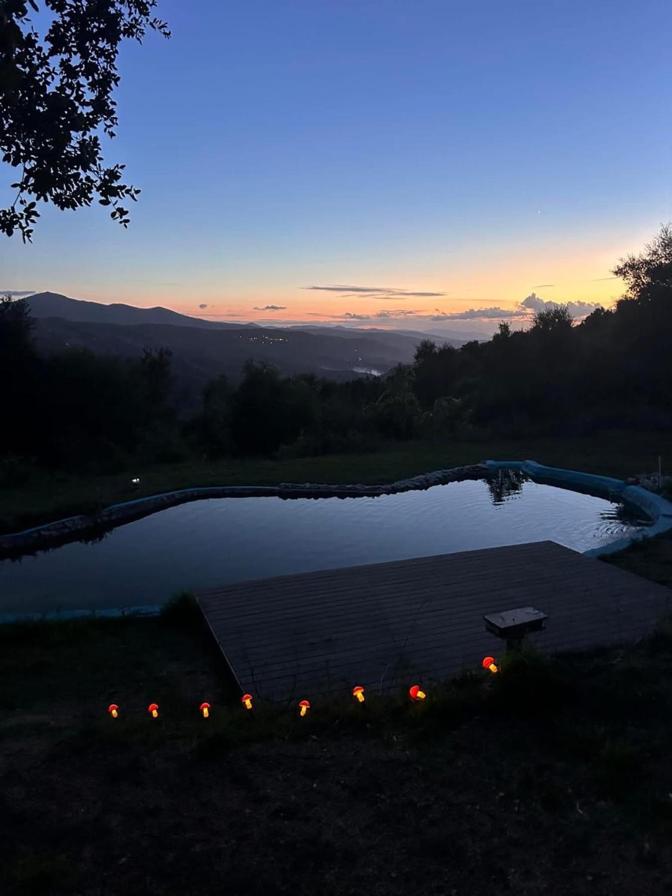 Monkey Tiny Barnhouse With Amazing Views! Villa Folhadosa Ngoại thất bức ảnh